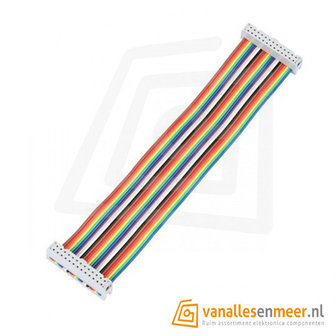  GPIO Flat cable 26P rainbow