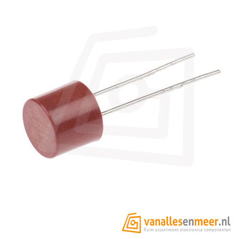 PCB Zekering T500mA 250V &ndash; Snelwerkende Beveiligingszekering &ndash; Type 382
