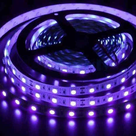 ledstrip 5050 UV 5 meter waterproof 60led/m