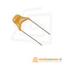 0.1uF-104-Multilayer-Ceramische-Condensator