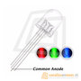 10mm LED  RGB Clear common anode